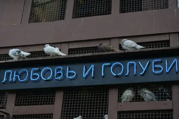 картинки