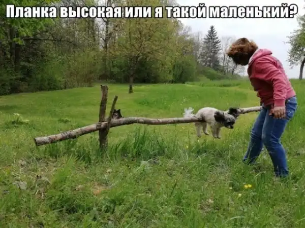 Прикольные картинки абавсём:D