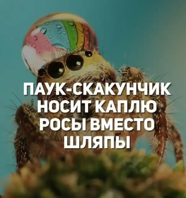 Прикольные картинки абавсём:D
