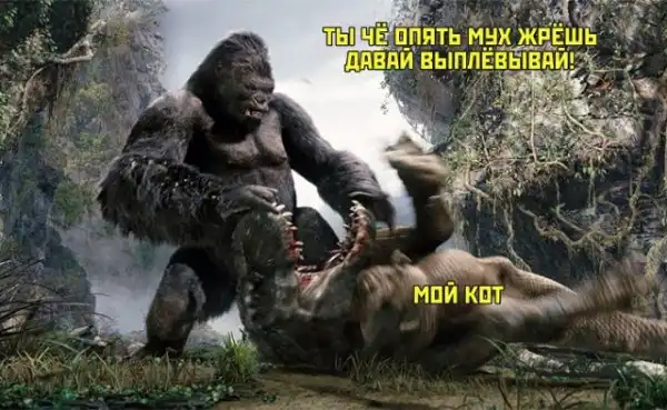 Картинки разные нужны