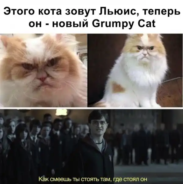 Картинки разные нужны