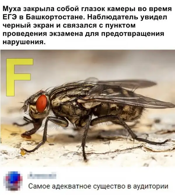 Скрины из социальных сетей