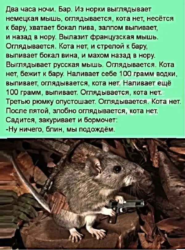 Картинки с надписями, истории и анекдоты