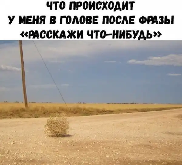 Ушёл за холодцом