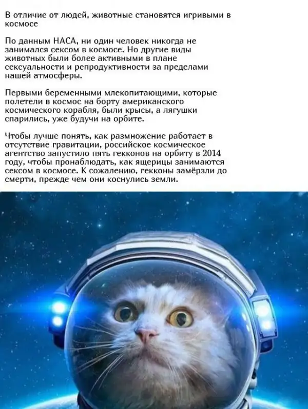 Необычные брачные ритуалы в мире животных