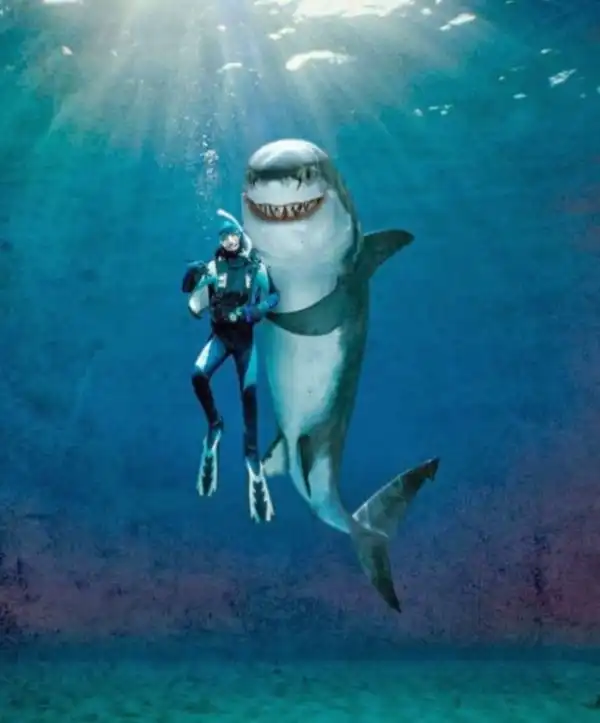 Art of nevermind