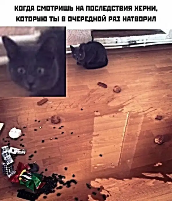 Картинки с надписями и анекдоты