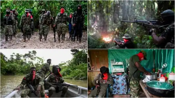 Последние представители армии повстанцев Колумбии
