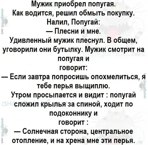 Анекдоты - лучшее от "анекдотовнет"