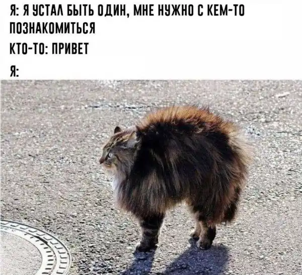 картиночки