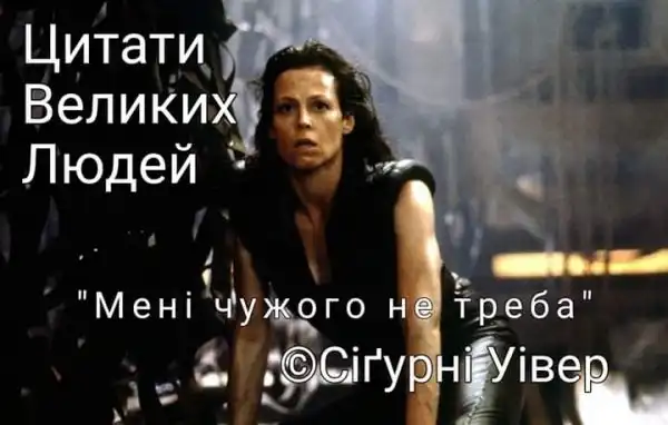 и картинки и девчата
