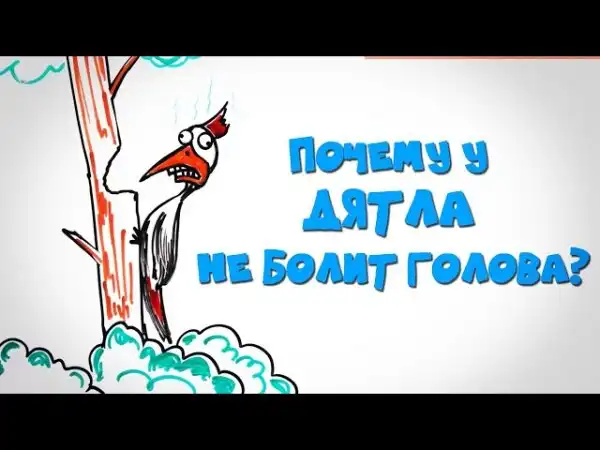 Про дятлов