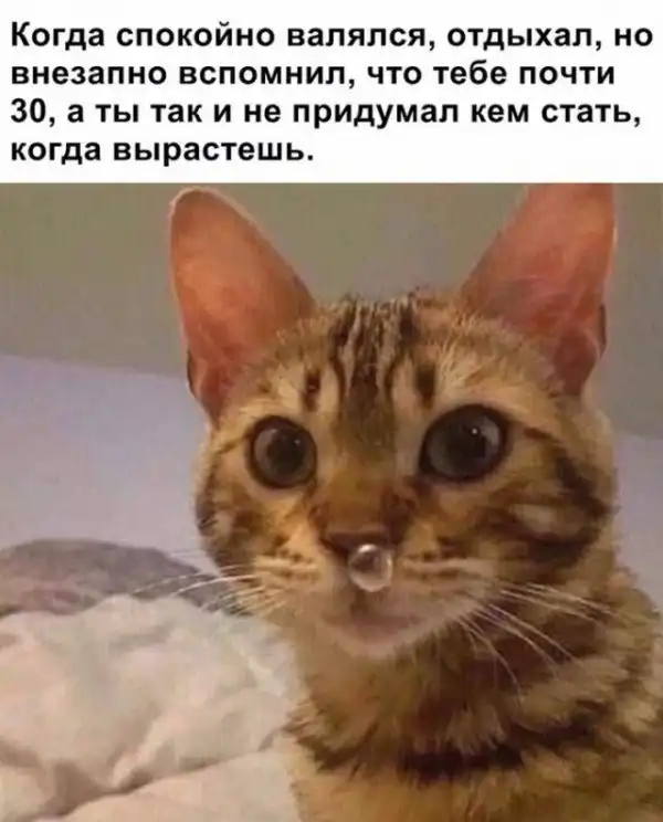 Всякая всячина