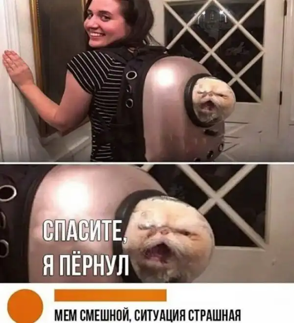 Всякая всячина