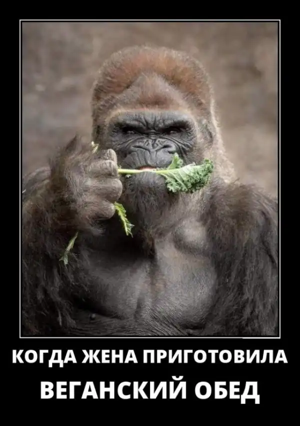 Картинки в рамках с надписями