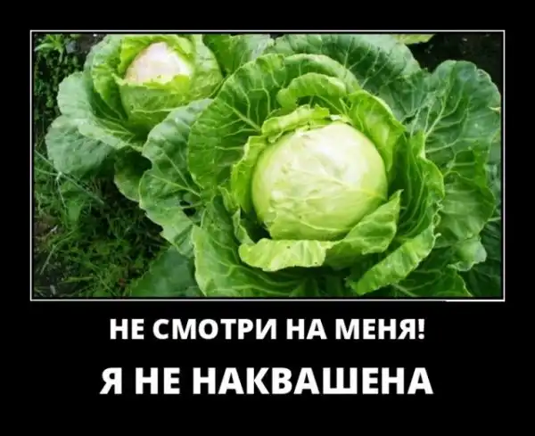 Картинки в рамках с надписями