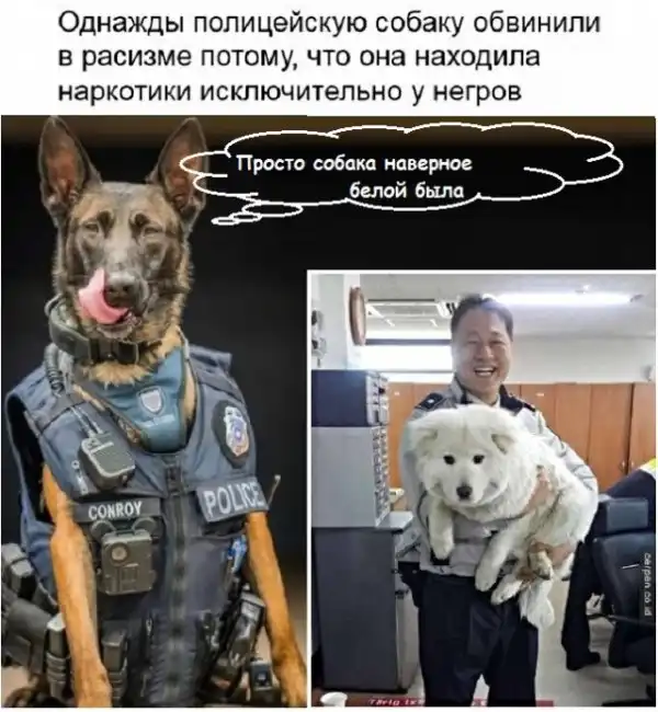 Картинки с надписями и анекдоты