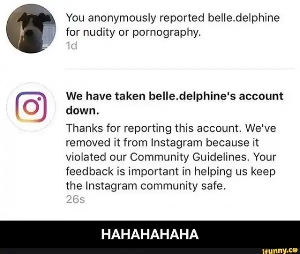Блогершу Белль Дельфин "прогнали" из Instagram