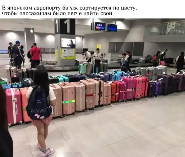 Заботливая Японии