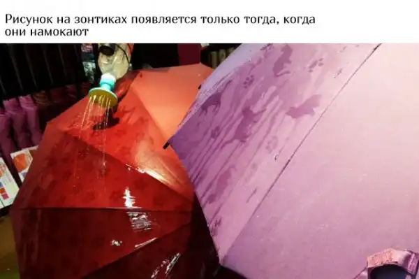 Заботливая Японии