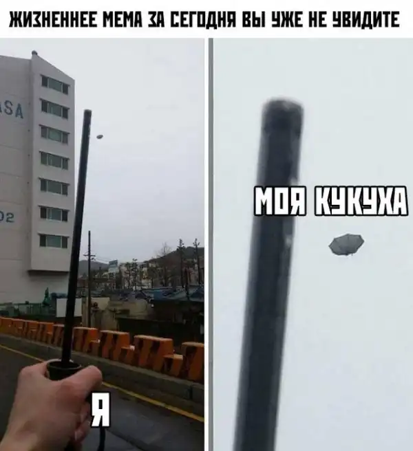 Прикольные картинки абавсём:D