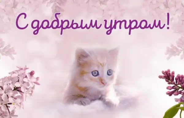 13 раздражающих привычек в соцсетях, которые давно пора оставить в прошлом