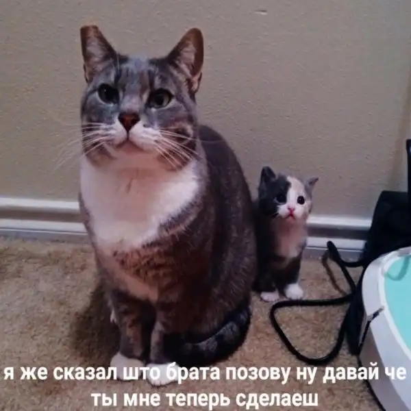 Нестандартный юмор :)