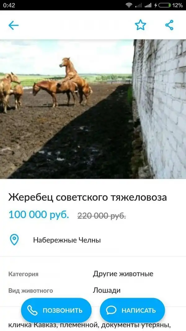 Убойные объявления с Авито, над которыми вы будете смеяться до слез