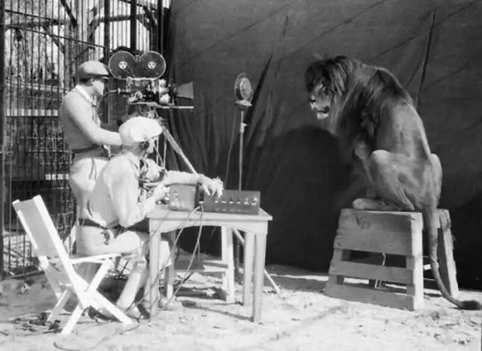 25 фотографий, представляющих знаковые события в истории человечества с необычного ракурса 25 фотографий, представляющих знаковые события в истории человечества с необычного ракурса