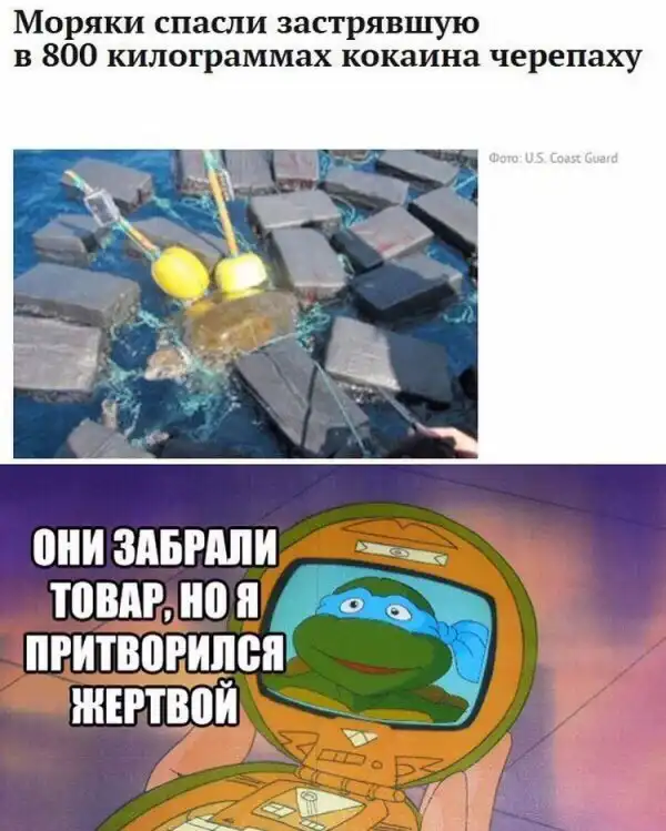 ПОДБОРКА СМЕШНЫХ, НЕ ОЧЕНЬ И ПРОСТО КРАСИВЫХ 8