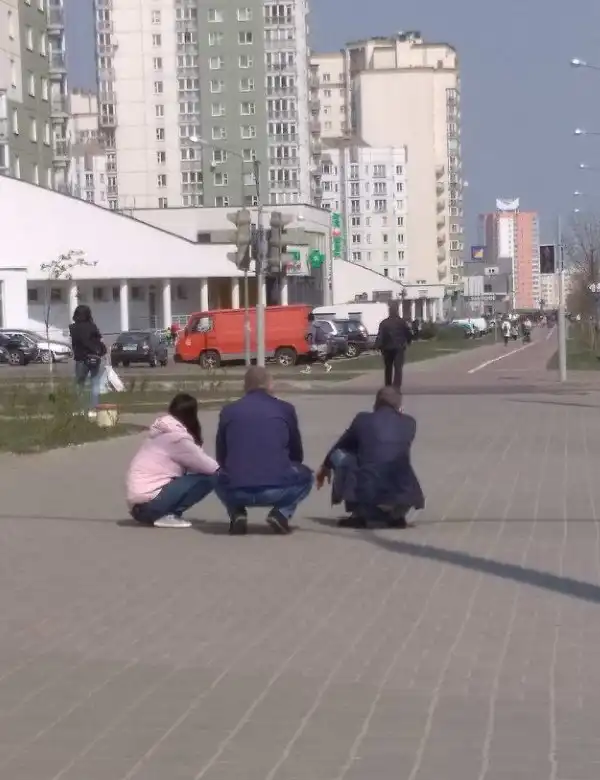 ПОДБОРКА СМЕШНЫХ, НЕ ОЧЕНЬ И ПРОСТО КРАСИВЫХ 8