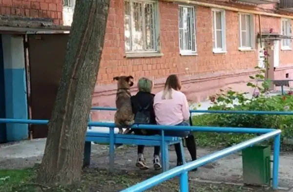 ПОДБОРКА СМЕШНЫХ, НЕ ОЧЕНЬ И ПРОСТО КРАСИВЫХ 8