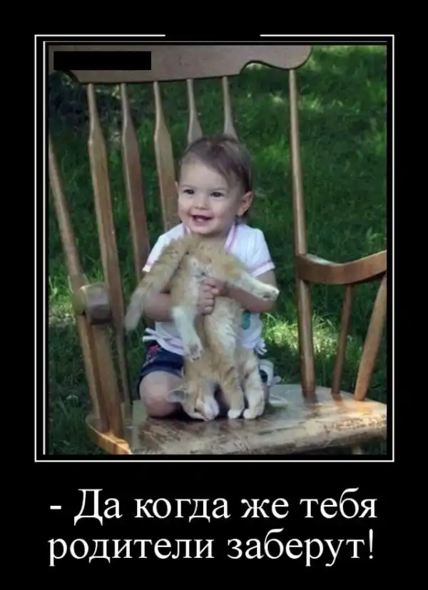 Демотиваторы