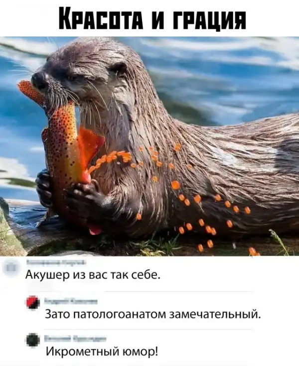 Немного картинок с надписями и без