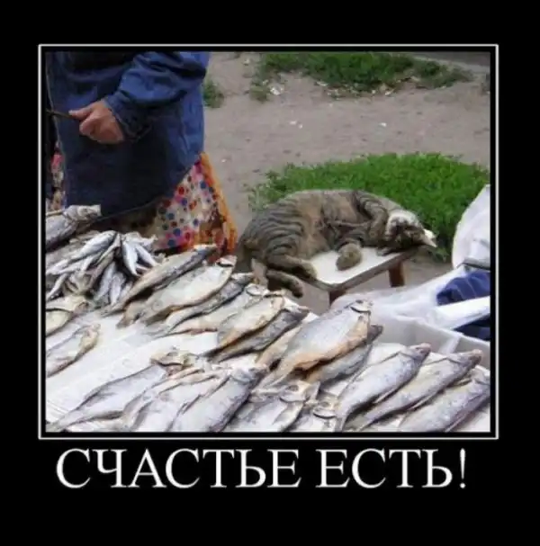 Ох, уж эта рыбалка