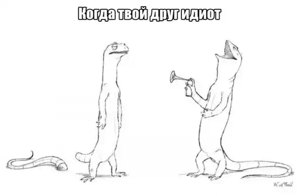 Подборка картинок