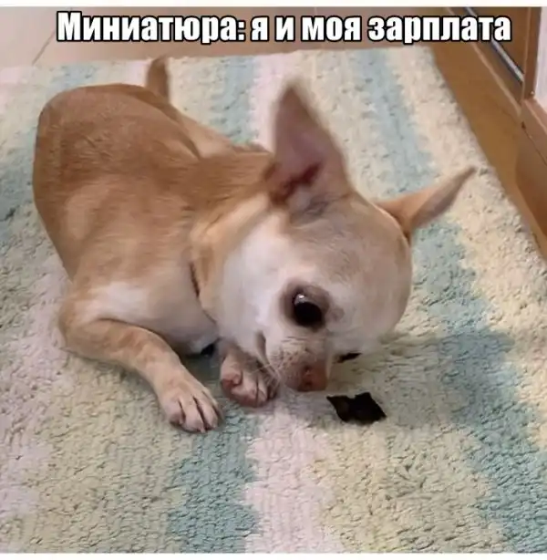 Подборка картинок
