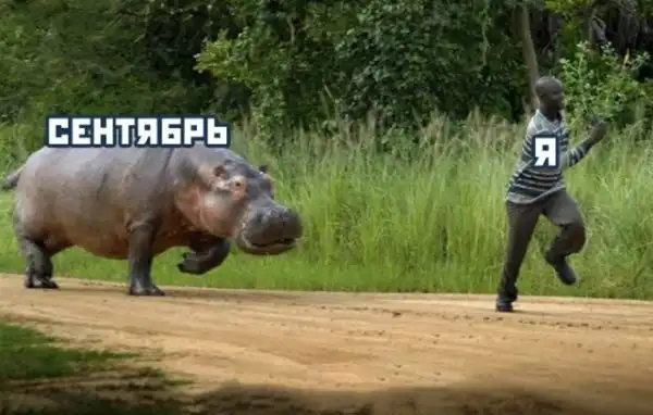 Прикольные картинки абавсём:D