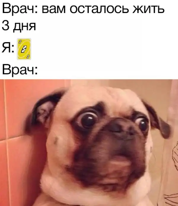 Прикольные картинки абавсём:D