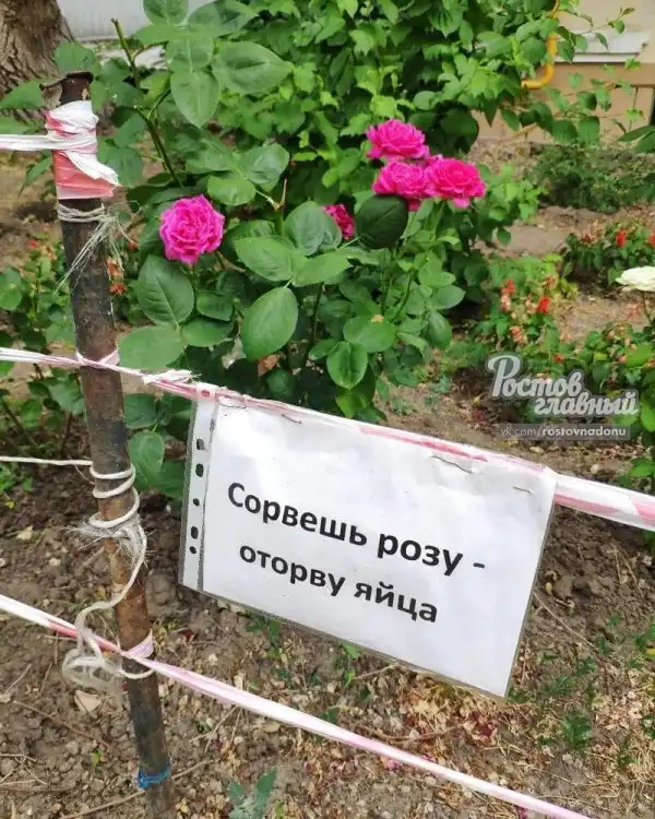 18 человек, которые знают толк в угрозах 18 человек, которые знают толк в угрозах