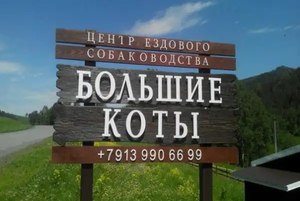 Разных картинок пОст