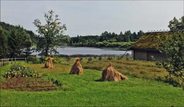 Август в деревне