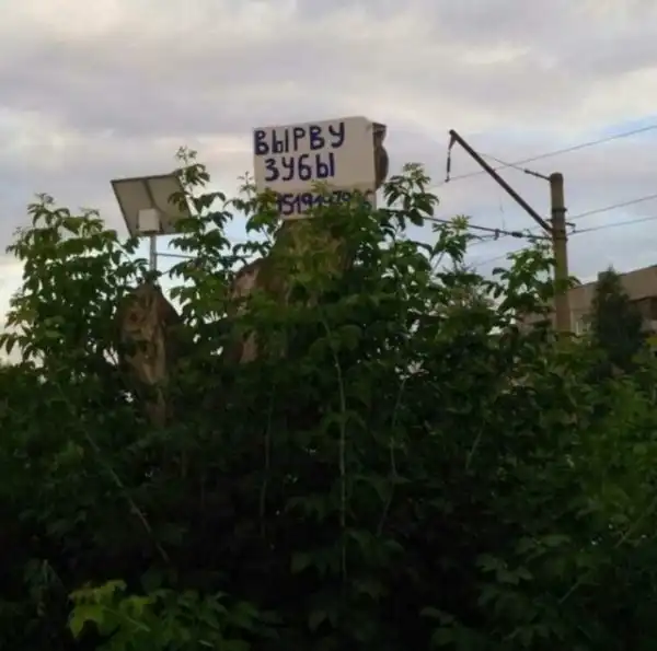 Любая женщина на свете умеет...