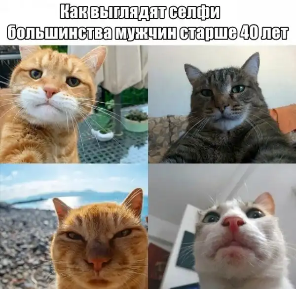 Картинки с надписями, истории и анекдоты