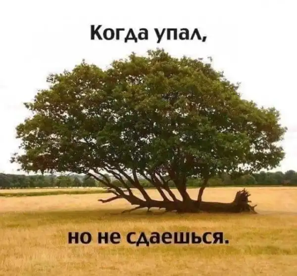 Немного картинок для настроения