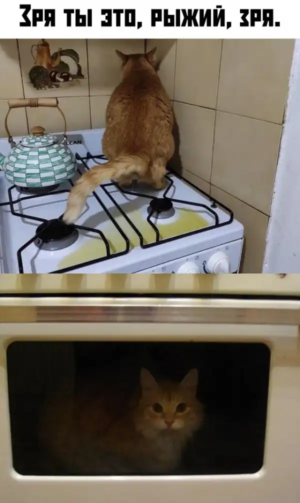 Прикольные картинки абавсём:D