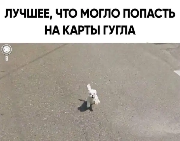 Нестандартный юмор :)