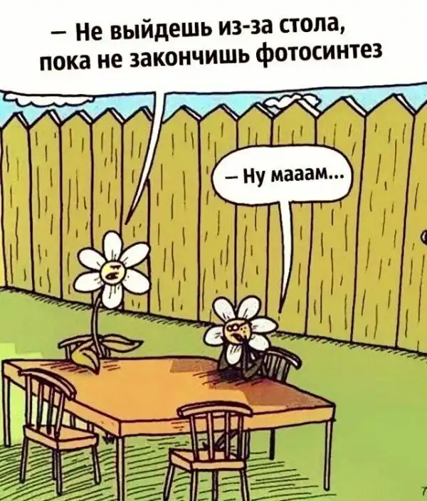 NeFормат