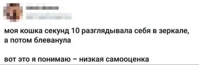 Самоуверенные позёры, умеющие жить на все 100 Самоуверенные позёры, умеющие жить на все 100
