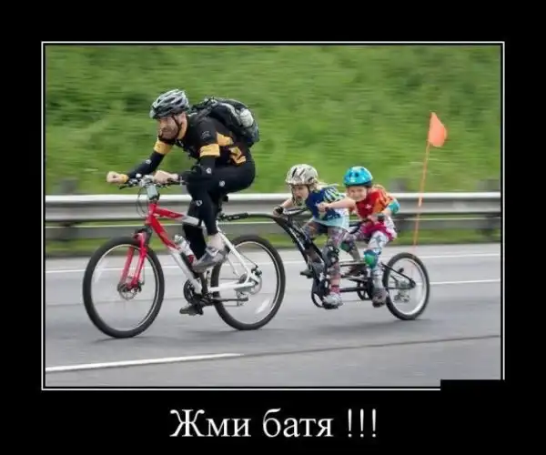 Прикольные и просто красивые картинки